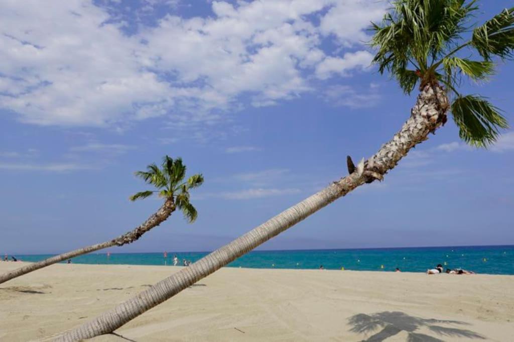 A 500 M De La Plage, Tout Confort Avec Wifi 르발카레스 외부 사진